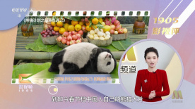 性夜影院爽黄e爽痛轻点www